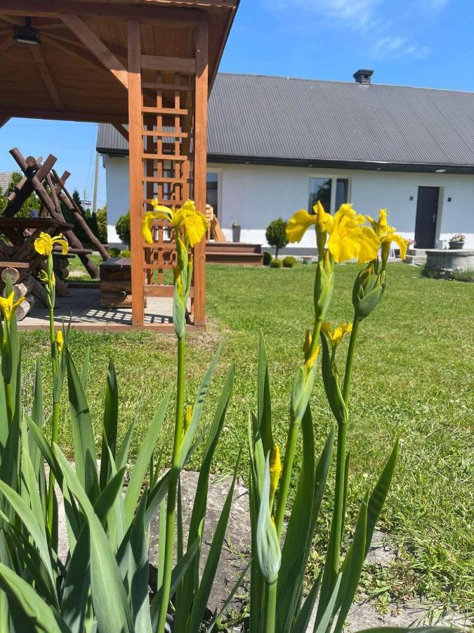 Willa Pokoje Kama Zator Zewnętrze zdjęcie